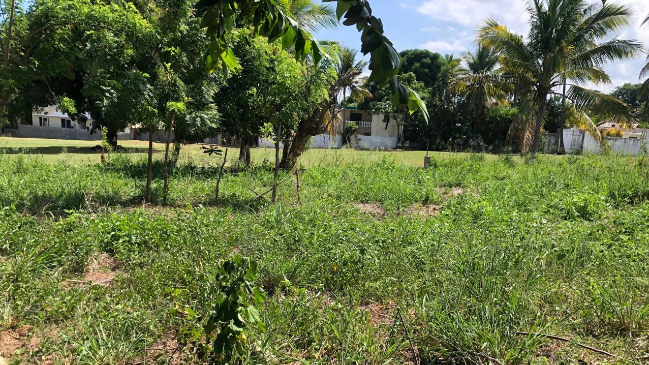 Land for sale in Costambar, 5 minutes from the beach 🏝️ Next to the golf course ⛳