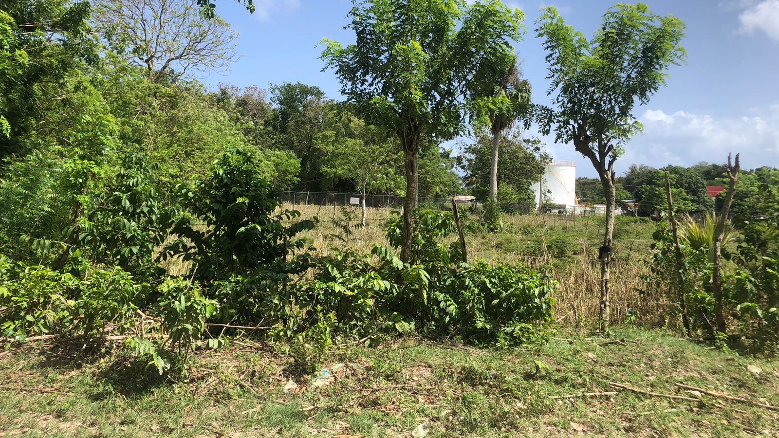 Land for Sale, located next to the airport