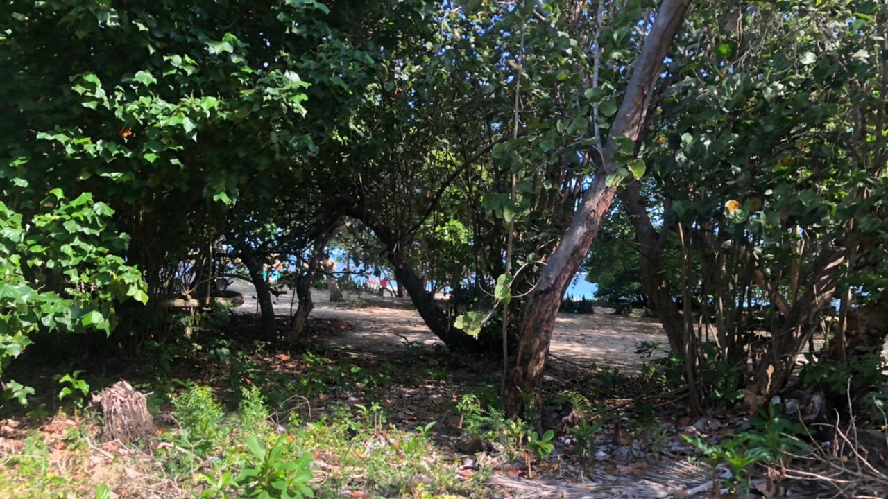 Apartment for sale Costambar DR Beachfront 🏖️