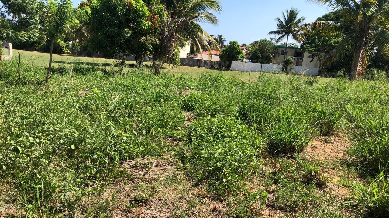 Land for sale in Costambar, 5 minutes from the beach 🏝️ Next to the golf course ⛳